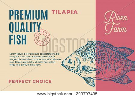 Premium Quality Tilapia. Abstract Vector Fish Packaging Design Or Label. Modern Typography And Hand 