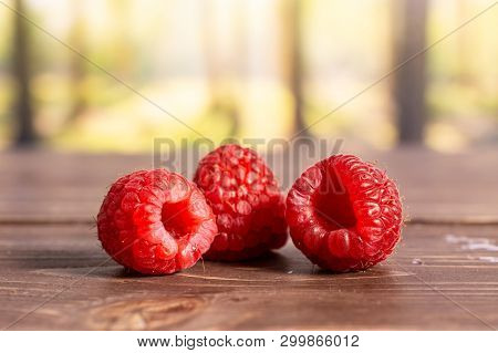 Group Of Three Whole Fresh Red Raspberry In A Forest