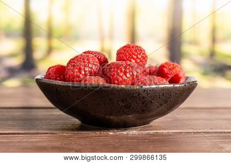 Lot Of Whole Fresh Red Raspberry On Grey Ceramic Plate In A Forest