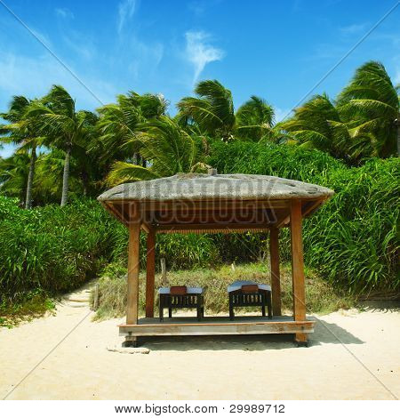 Masaj tablo tropikal Beach