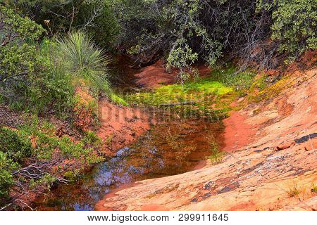 Views From The Lower Sand Cove Trail To The Vortex Formation, By Snow Canyon State Park In The Red C