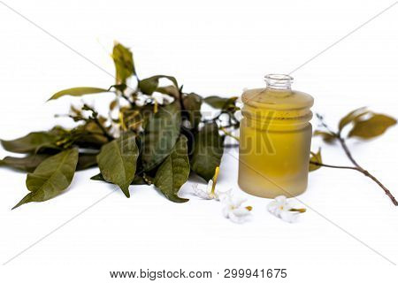 Close Up Of Essential Oil Of Indian Jasmine Flower Or Juhi Or Jasminum Auriculatum Isolated On White