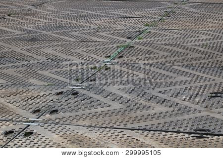 Hardstanding Over Grass With Zig Zag Design - Image