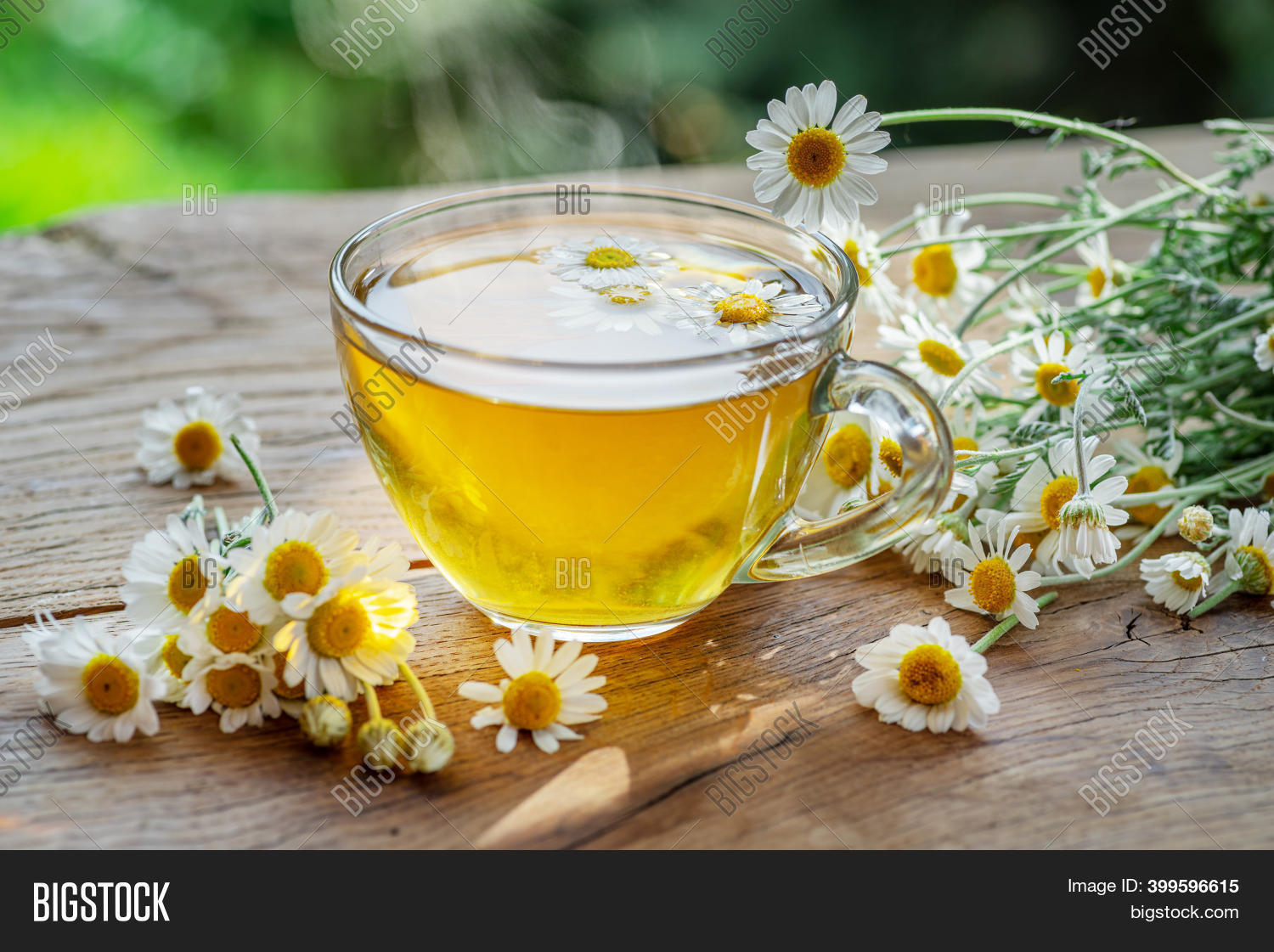 Herbal Chamomile Tea Image & Photo (Free Trial) Bigstock