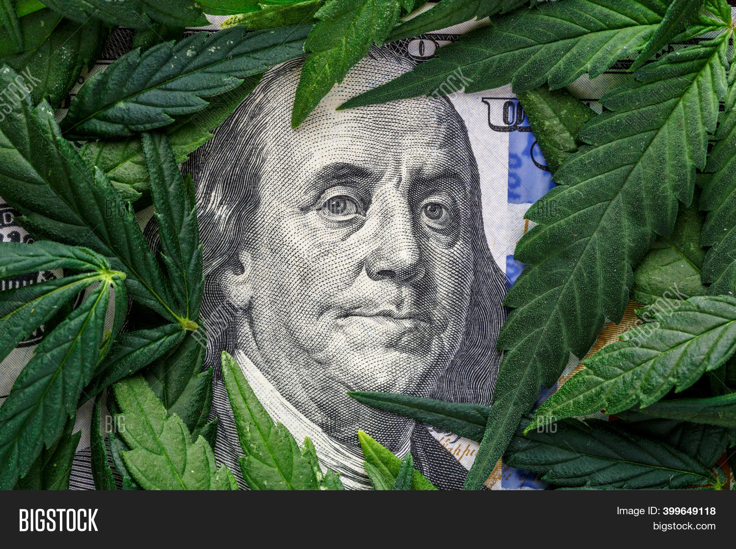 Legality Cannabis, Image & Photo (Free Trial) Bigstock