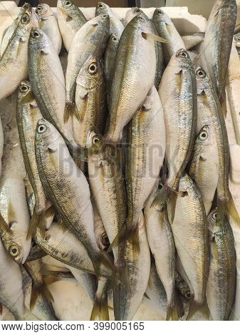 Boops Boops Type Fish Are Waiting For Their Buyer In The Fishing Shop