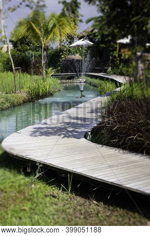 Simple Walkway In Summer Rice Field Resort, Stock Photo