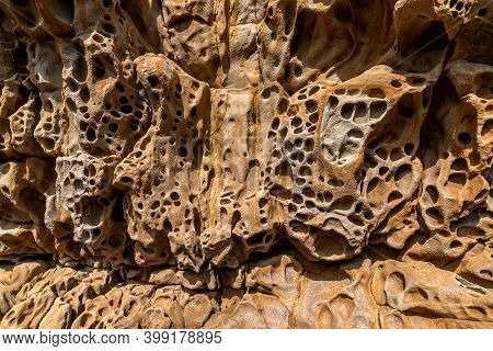 Full-screen Close-up Of Honeycomb Weathering Of Yellow-orange Sandstone