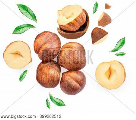 Hazelnuts Isolated On White Background. Creative Food Layout. Pattern With Hazelnuts Top View. Flat 