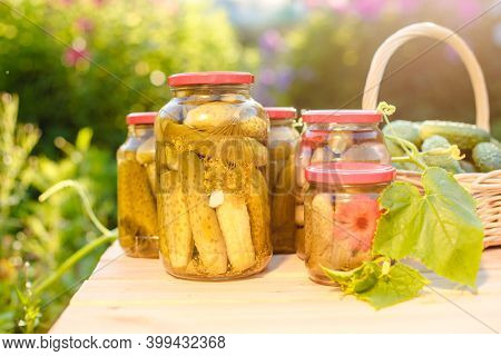 Pickled cucumbers in a jar. Autumn harvesting. Pickled and salted vegetables. Preservation for the winter. Summer country hobby.