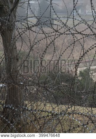 Barbed Wire As Barrier In A Prison, Measure To Prevent Outbreaks