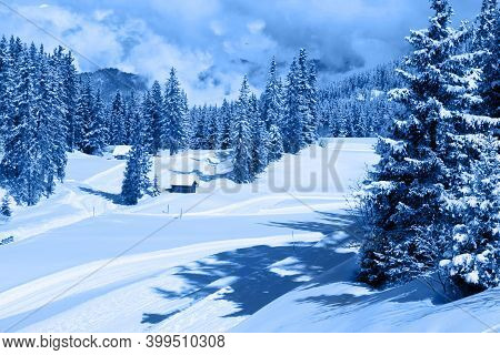 A Beautiful Winter Landscape Of Snow-covered Forest. Haute Savoy, France. Snow Park. Monochrome Phot