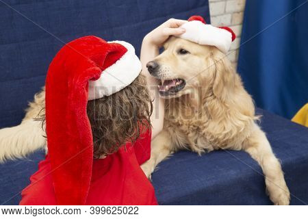 A Teenager And A Dog, A Golden Retriever In A Red Christmas Hat.