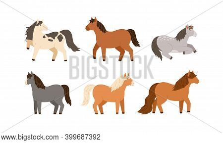 Set Of Different Cute Little Horses. Collection Of Adorable Childish Pony. Flat Vector Cartoon Illus
