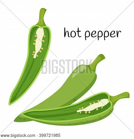Green Hot Pepper. Whole, Half In Cross-section, Cut. Ingredient, An Element For The Design Of Food P