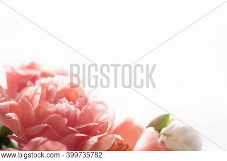 Bouquet Of Peonies On A White Background. Eucalyptus And Peonies Bouquet In A Glass Vase. Beautiful 