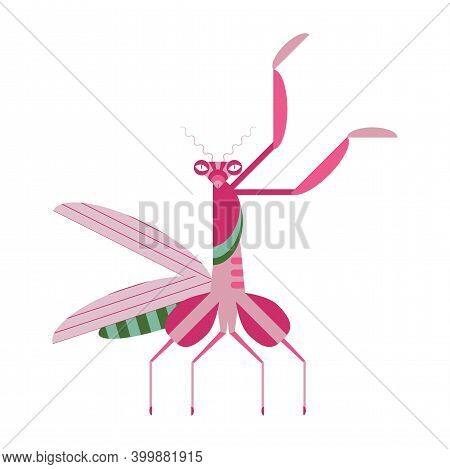 Praying Mantis Icon In Geometric Flat Style