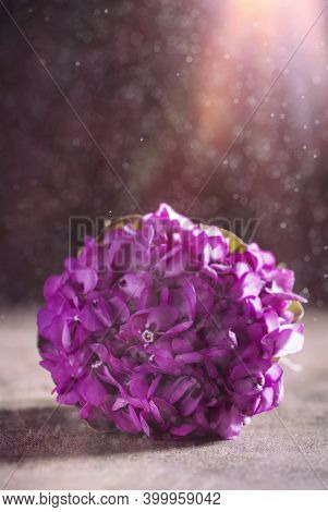 Beautiful Spring Bouquet Of Violets (viola Odorata) On Wooden Background. Wild Common Violet Flowers