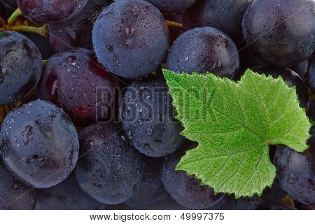 Grapes background