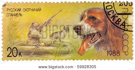 Stamp Printed In Ussr, Shows Russian Spaniel, Duck Hunt, Series Hunting Dogs