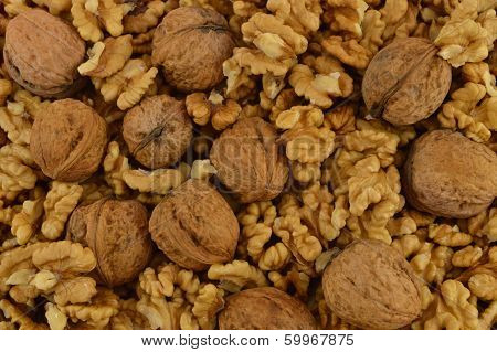 Walnuts Closeup