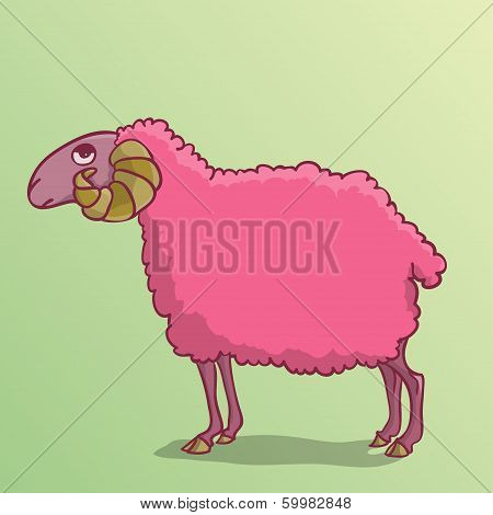 Sheep Pink