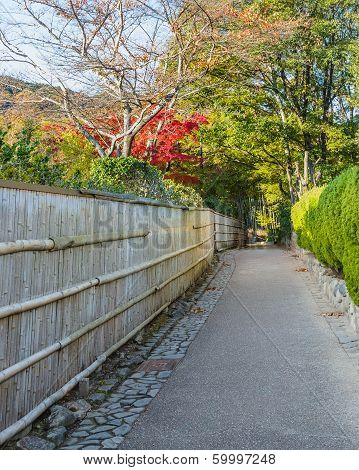 The Path To Chikurin-no-michi (bamboo Grove) At Arashiyama In Kyoto