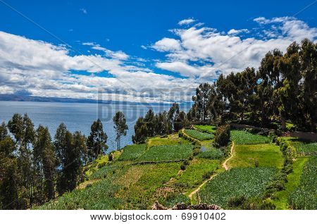 Gorgeous Landscape Of Isla Del Sol, Bolivia