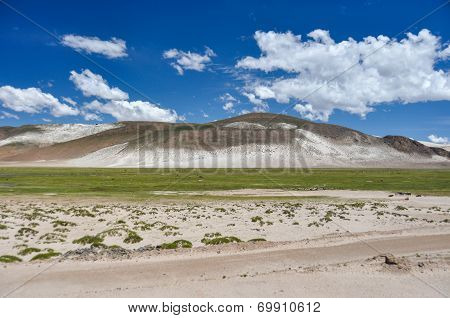 Beautiful, Landscape Of Bolivia