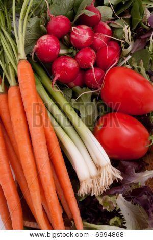 Verdure fresche