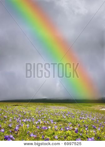 Arcobaleno