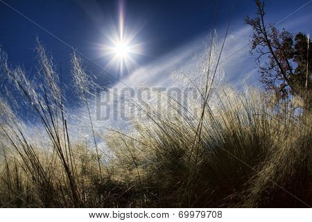 High In The Sky