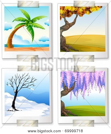 Illustration of the different images of the four seaons on a white background