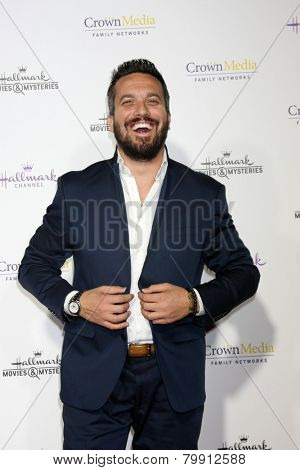 LOS ANGELES - JAN 8:  Fabio Vivani at the Hallmark TCA Party at a Tournament House on January 8, 2014 in Pasadena, CA