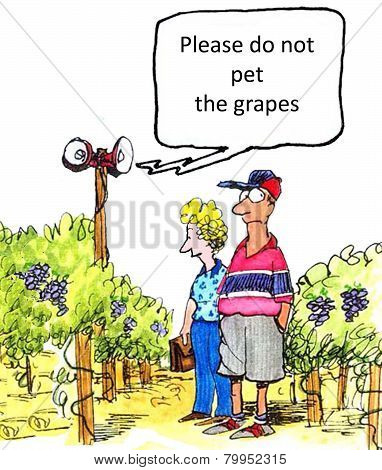 Winery
