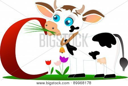 Funny cow with alphabet letter C