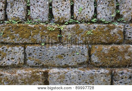 Wall Texture