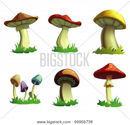 Mushrooms