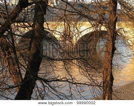 Trees along the quay and Paris bridge
