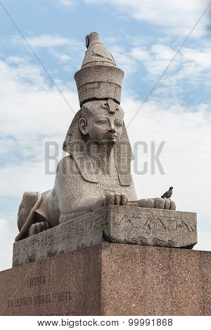 Sphinx On Embankment  Of The Neva River In Saint Petersburg