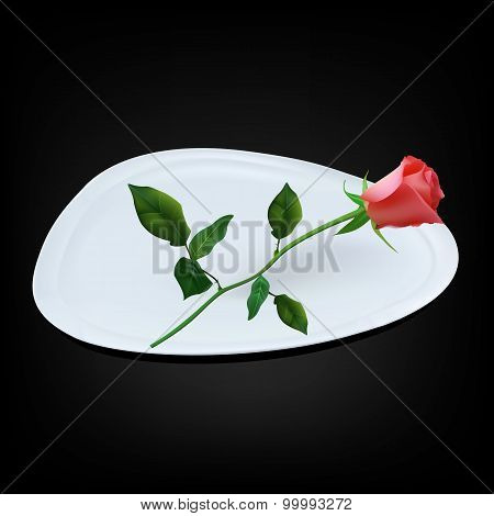 Empty White Triangle Plate With Red Rose
