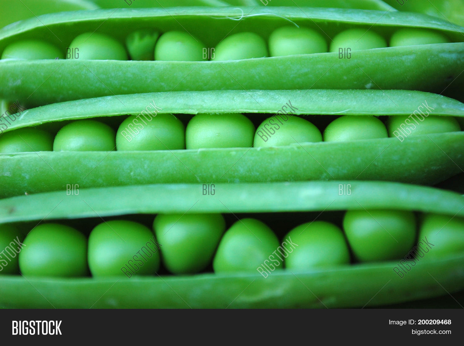 closeup view of green peas in their opened pod