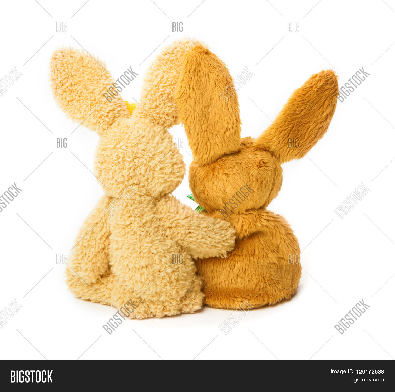easter bunny, pair 库存照片和库存图片 | bigstock