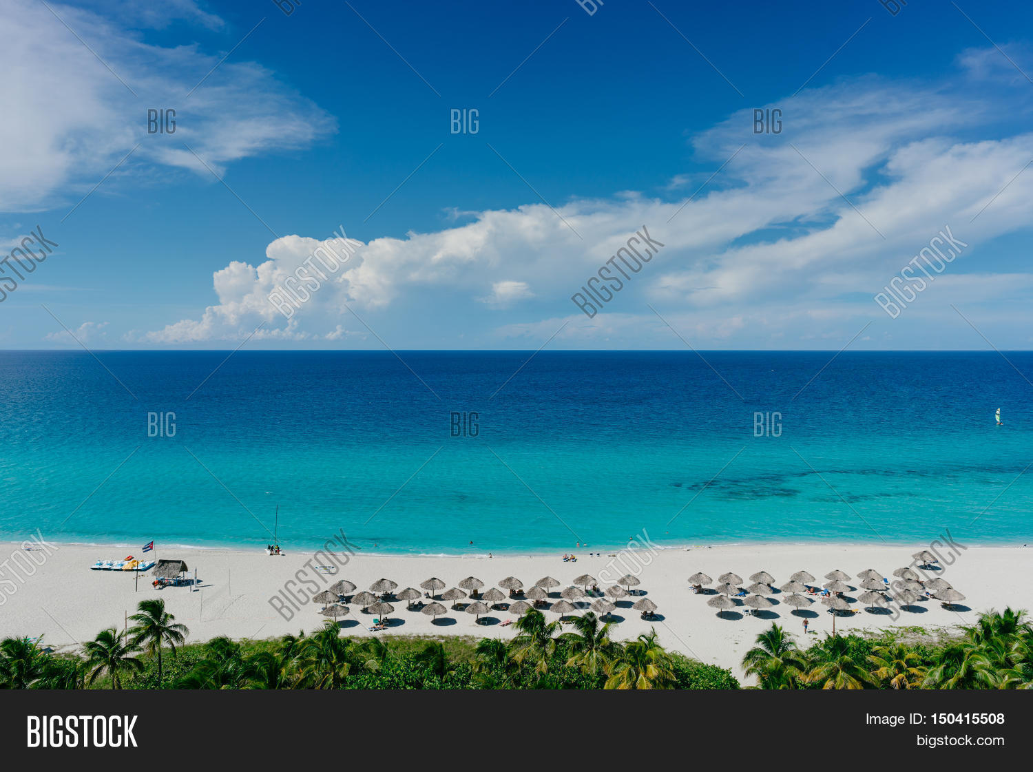 the most beautiful species in the atlantic ocean and beach with