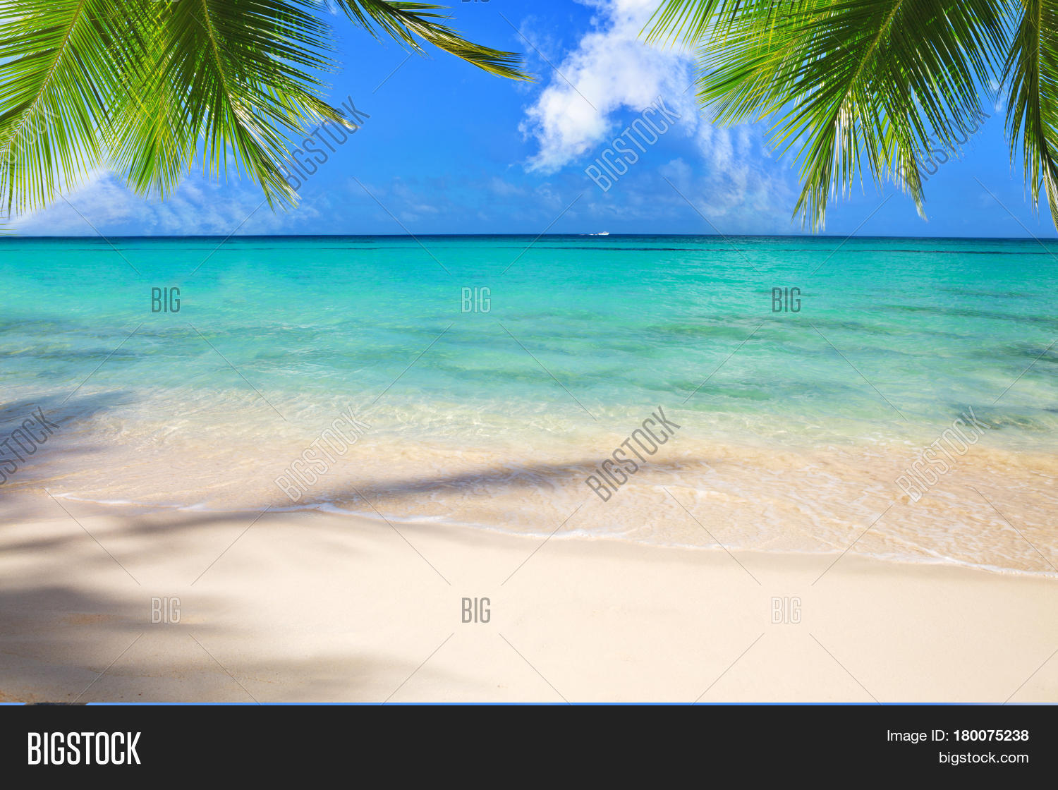 beautiful caribbean sea and green palm leaves .
