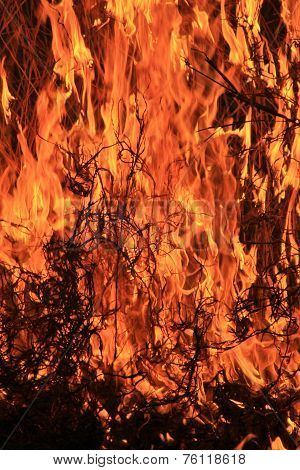 fire and flame background - hot beauty and sizzling heat within