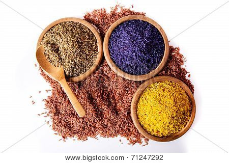 germinated brown rice