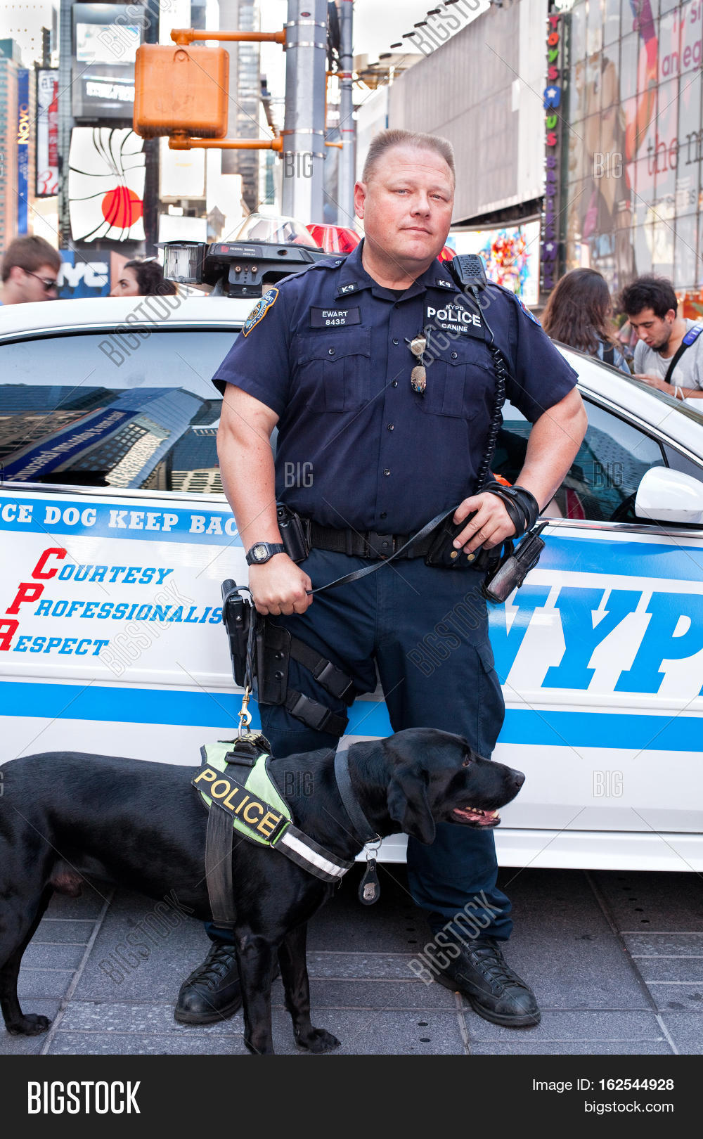 new york cityusa - september 23 2015: k-9 police officer and k-9