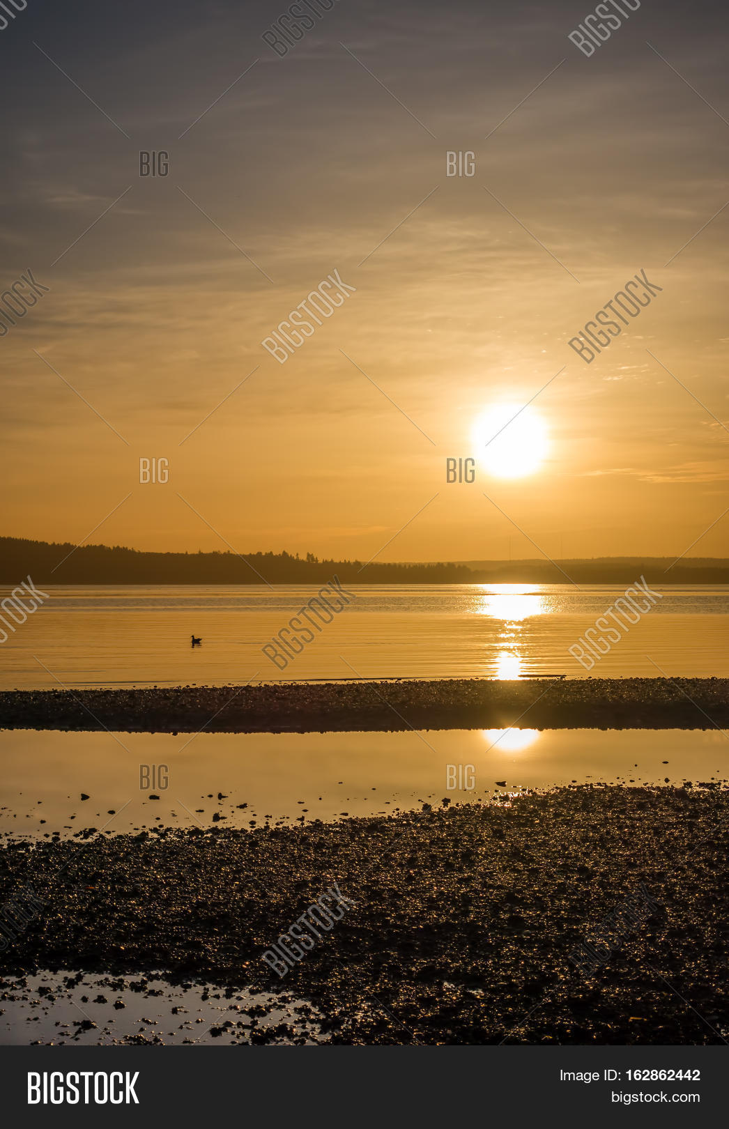yellow luminous light envelops everything as the sun sets over
