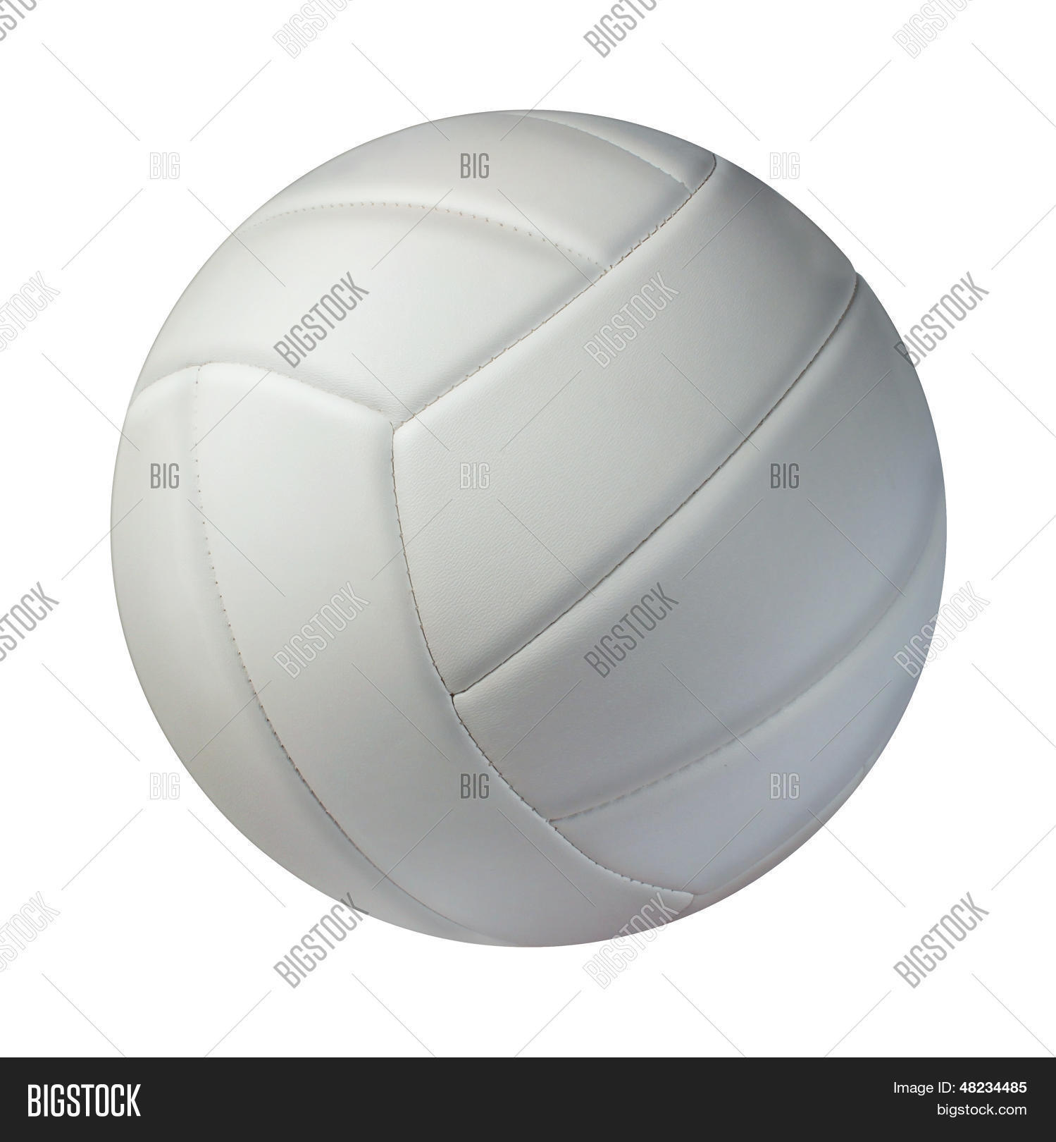 孤立的排球 库存照片和库存图片 | bigstock